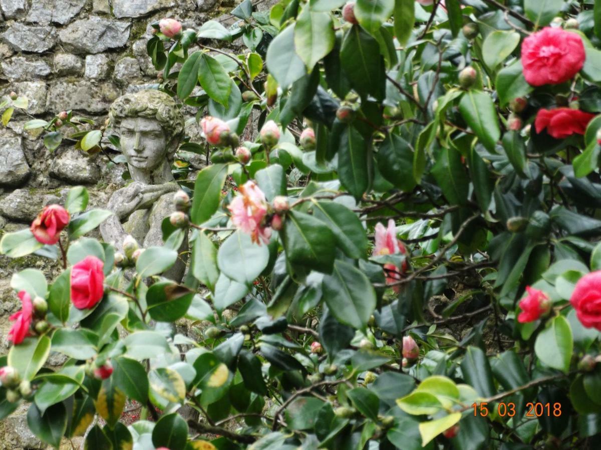 Hotel Particulier "Le Clos De La Croix" Bayeux Exterior foto
